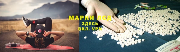 apvp Магадан