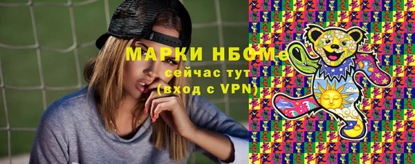 индика Магас
