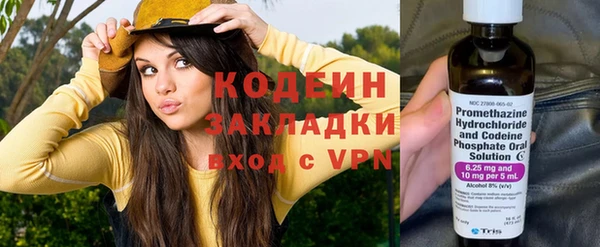 индика Магас