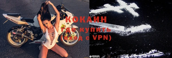 индика Магас