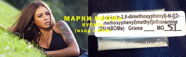 индика Магас