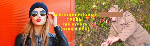 Альфа ПВП Медногорск