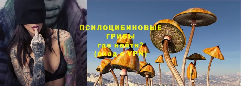 Галлюциногенные грибы Magic Shrooms  Крымск 