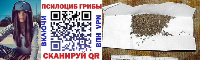 Галлюциногенные грибы MAGIC MUSHROOMS  Крымск 