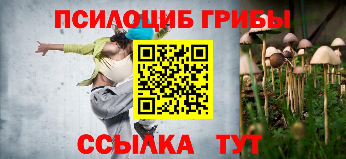 Крымск  Псилоцибиновые грибы GOLDEN TEACHER  Вход с VPN 
