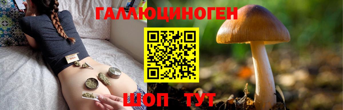 Псилоцибиновые грибы MAGIC MUSHROOMS Крымск